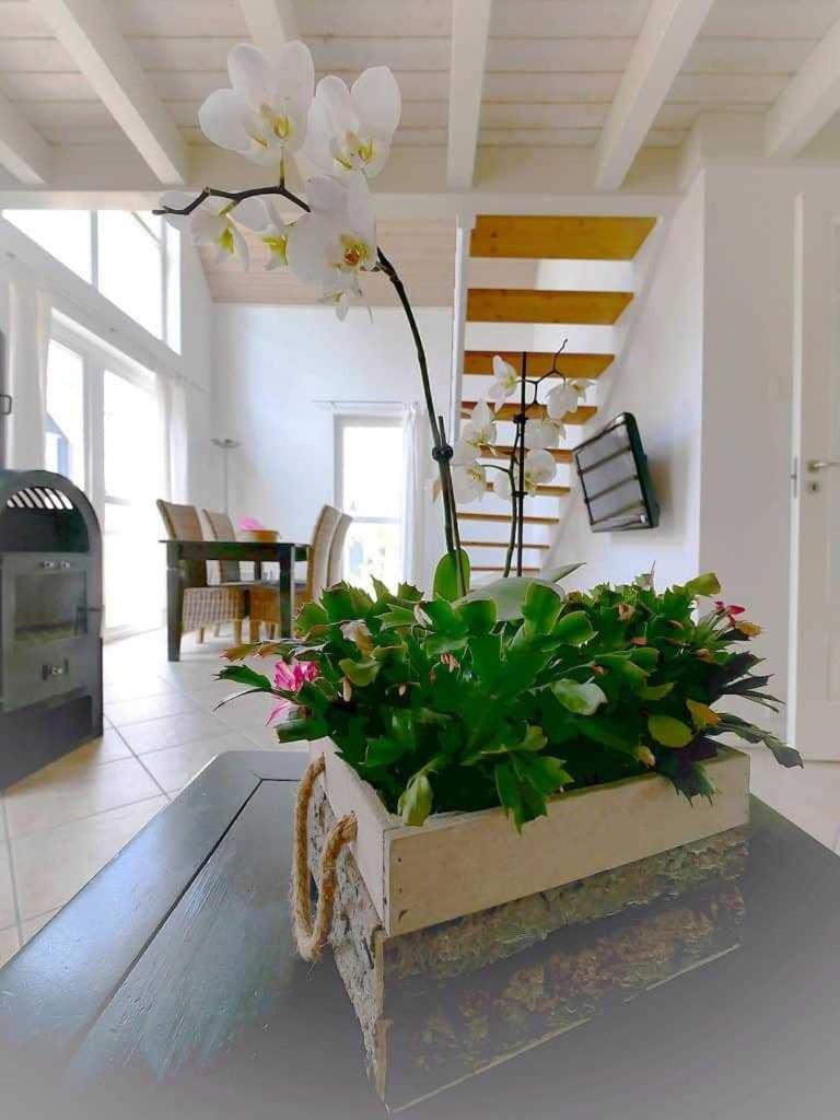 Aparthotel Ferienpark Bad Saarow